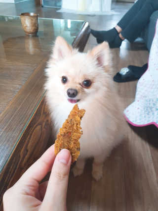 포비탄님이 올린 리뷰 사진 1