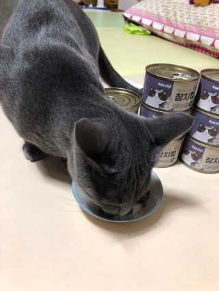 라블리맘님이 올린 리뷰 사진 2