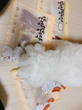 [펫토리아] 뚝딱뚝딱 400g 강아지 간식 베스트5종 — 5점을 준 리뷰어가 2019년 1월 올린 사용 사진