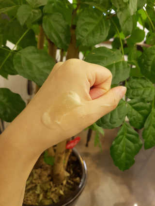 하얀비너스님이 올린 리뷰 사진 2