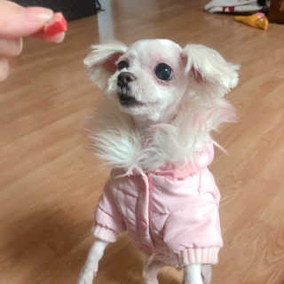 cherry님이 올린 리뷰 사진 3