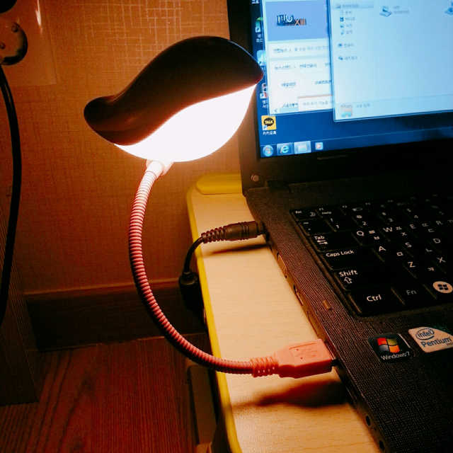 휴대용 USB LED 버드램프 LS-800 리뷰 사진
