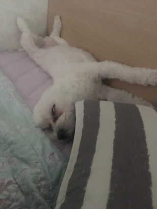 공삐님이 올린 리뷰 사진 2
