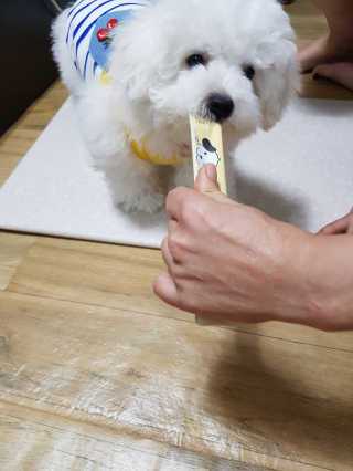 [펫토리아]짜먹는 한입뚝딱 강아지.고양이 마약간식 — 5점을 준 리뷰어가 2019년 8월 올린 사용 사진