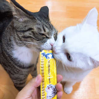오홍그님이 올린 리뷰 사진 3