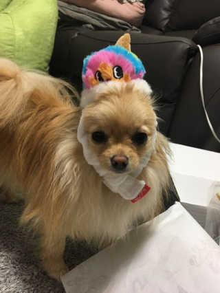 데본킴언니님이 올린 리뷰 사진 1