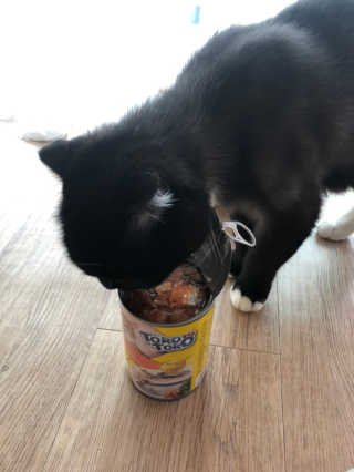 뽀야님이 올린 리뷰 사진 2