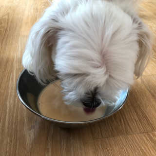 댕민님이 올린 리뷰 사진 3