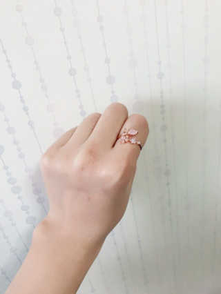 고연경님이 올린 리뷰 사진 2