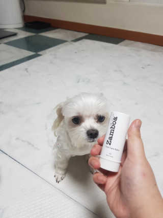 찡님이 올린 리뷰 사진 2