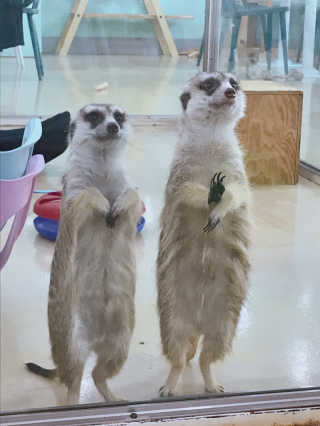 sue님이 올린 리뷰 사진 1