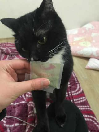 그냥나님이 올린 리뷰 사진 1