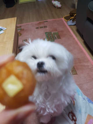 김고양이님이 올린 리뷰 사진 4