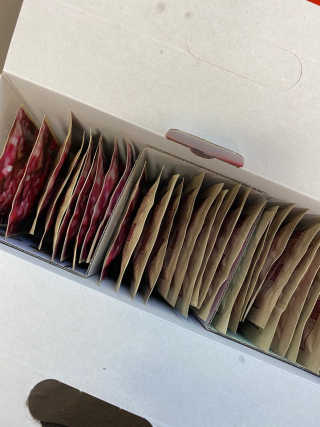 [하이헬스] 정말 진하고 맛있는 유기농 석류즙 30포 — 5점을 준 리뷰어가 2019년 11월 올린 사용 사진