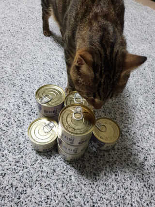 주재식님이 올린 리뷰 사진 4