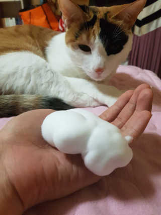 Shary님이 올린 리뷰 사진 2