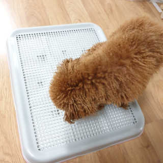 은구슬님이 올린 리뷰 사진 1
