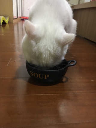 다연잉님이 올린 리뷰 사진 1