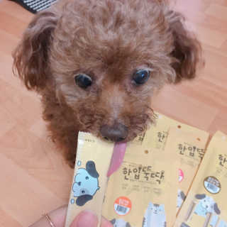 [펫토리아]짜먹는 한입뚝딱 강아지.고양이 마약간식 — 5점을 준 리뷰어가 2019년 7월 올린 사용 사진
