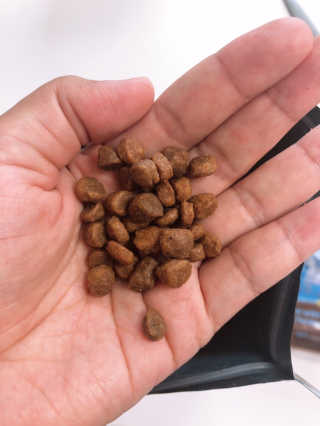 healingling님이 올린 리뷰 사진 3