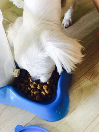 영이님이 올린 리뷰 사진 2