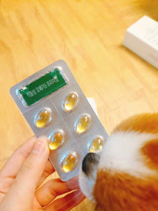 꼬몽쓰님이 올린 리뷰 사진 3