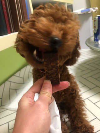 향이꾸님이 올린 리뷰 사진 3