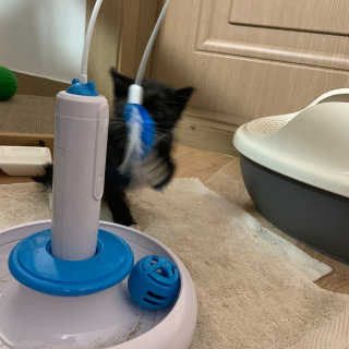 미니님이 올린 리뷰 사진 3
