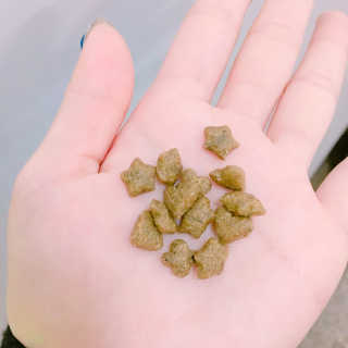 율집사님이 올린 리뷰 사진 2