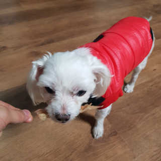 슬로우보이님이 올린 리뷰 사진 1