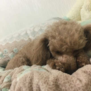소리나리님이 올린 리뷰 사진 3