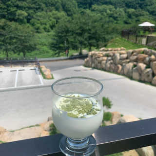 초능력 국내산 레몬밤 분말 — 4점을 준 리뷰어가 2019년 8월 올린 사용 사진