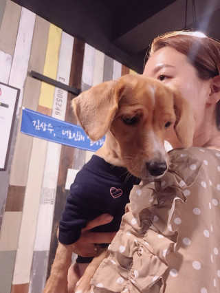 서민정님이 올린 리뷰 사진 1