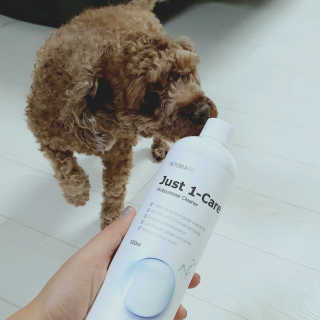 [펫토리아] 뚝딱케어 강아지 고양이 다목적세정제 — 5점을 준 리뷰어가 2020년 2월 올린 사용 사진