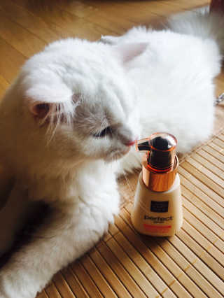 미요님이 올린 리뷰 사진 2