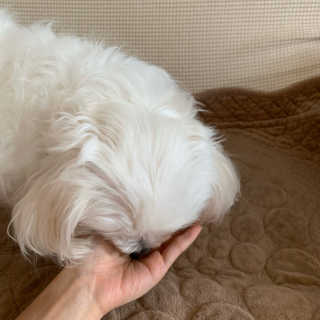 silvermoon님이 올린 리뷰 사진 2