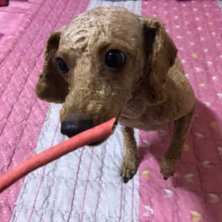 아해님이 올린 리뷰 사진 2