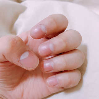 꾸기데일리님이 올린 리뷰 사진 3