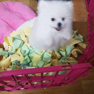 김한솔님이 올린 리뷰 사진 3