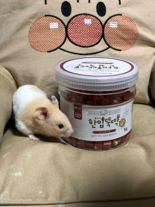 임다똥님이 올린 리뷰 사진 1