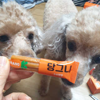 🐕삐딱이💖💖💖님이 올린 리뷰 사진 2