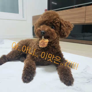 뽐님이 올린 리뷰 사진 2
