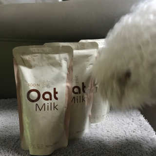 순오트밀크, soon oat milk — 5점을 준 리뷰어가 2018년 11월 올린 사용 사진