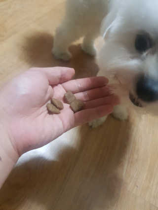 전형준님이 올린 리뷰 사진 3