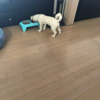 지원님이 올린 리뷰 사진 2