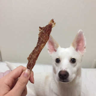 J님이 올린 리뷰 사진 3