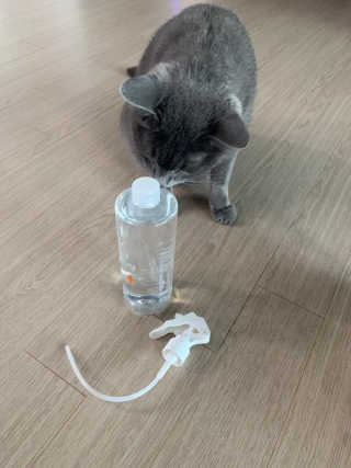 [펫토리아]살균뚝딱 강아지 고양이 살균소독제 탈취제 — 5점을 준 리뷰어가 2019년 10월 올린 사용 사진