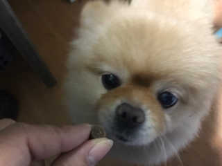 슬기로운공팔생활님이 올린 리뷰 사진 4