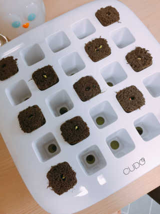빠다님이 올린 리뷰 사진 2