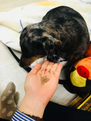 배소연님이 올린 리뷰 사진 2
